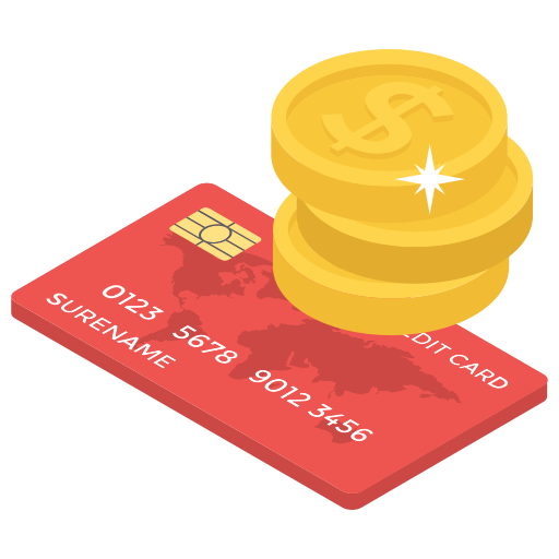 Debit / Credit Card Payments